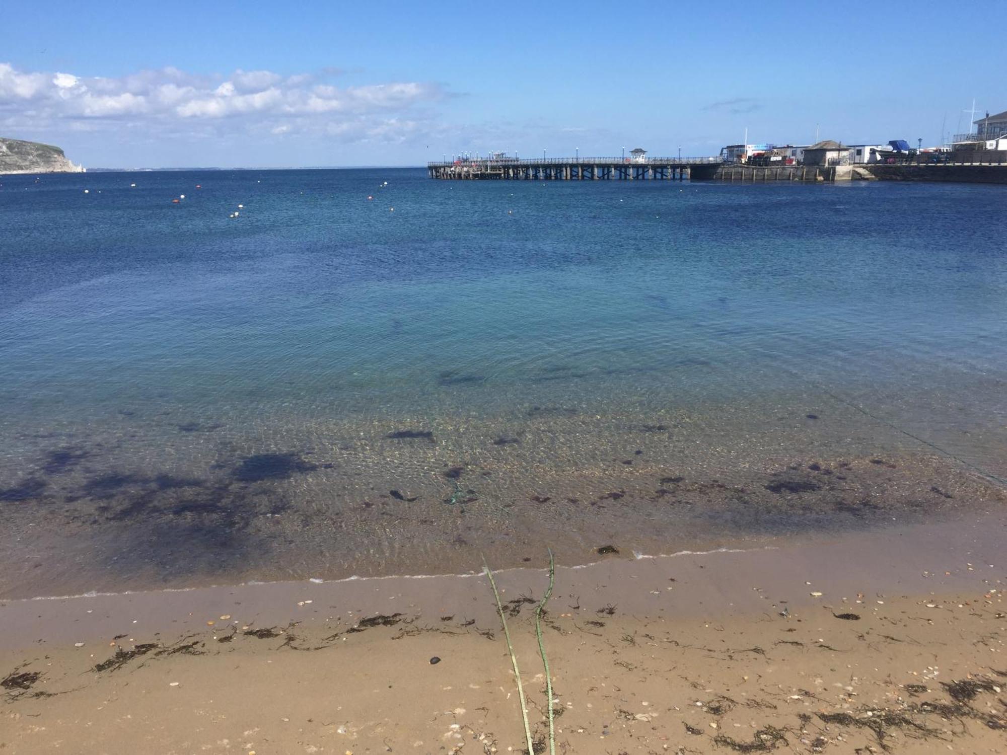 スワネージOcean Viewアパートメント エクステリア 写真